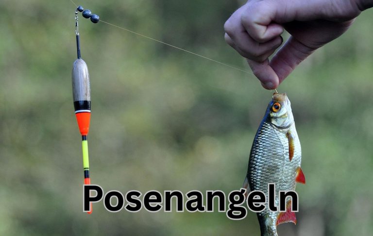 Hand hält einen gefangenen Fisch neben einer Angelposen.
