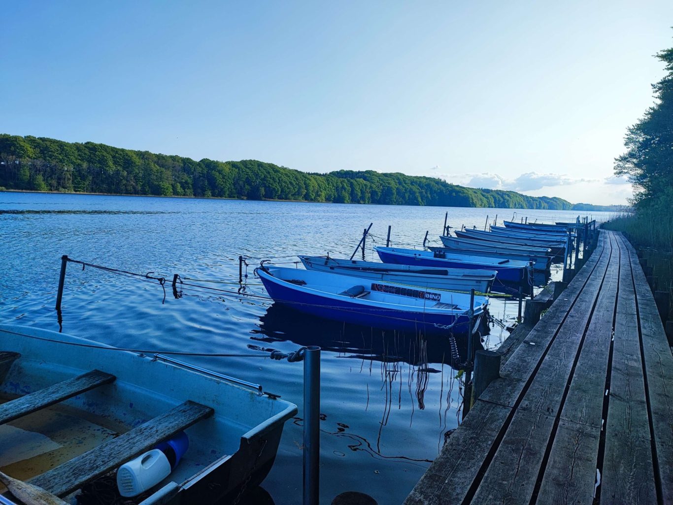 Ruhiger See mit Anlegestelle und mehreren Booten am Ufer, umgeben von Bäumen.